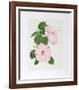 Hibiscus-Marion Sheehan-Framed Collectable Print