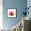 Hibiscus-Albert Koetsier-Framed Premium Giclee Print displayed on a wall