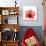 Hibiscus-Albert Koetsier-Premium Giclee Print displayed on a wall