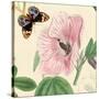 Hibiscus-Louis Van Houtte-Stretched Canvas