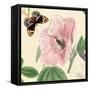 Hibiscus-Louis Van Houtte-Framed Stretched Canvas