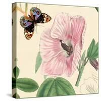 Hibiscus-Louis Van Houtte-Stretched Canvas