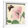 Hibiscus-Louis Van Houtte-Framed Art Print