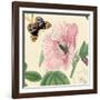 Hibiscus-Louis Van Houtte-Framed Art Print