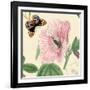 Hibiscus-Louis Van Houtte-Framed Art Print