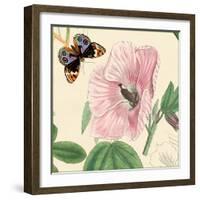 Hibiscus-Louis Van Houtte-Framed Art Print