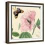 Hibiscus-Louis Van Houtte-Framed Art Print