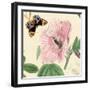 Hibiscus-Louis Van Houtte-Framed Art Print