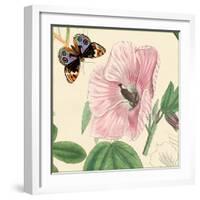 Hibiscus-Louis Van Houtte-Framed Art Print