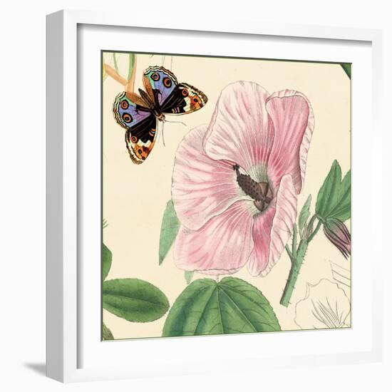 Hibiscus-Louis Van Houtte-Framed Art Print