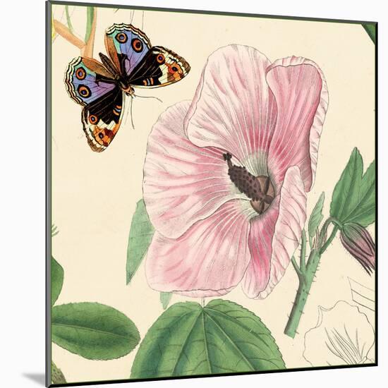 Hibiscus-Louis Van Houtte-Mounted Art Print