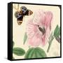 Hibiscus-Louis Van Houtte-Framed Stretched Canvas