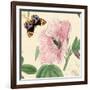 Hibiscus-Louis Van Houtte-Framed Art Print