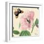 Hibiscus-Louis Van Houtte-Framed Art Print