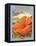 Hibiscus-Kerne Erickson-Framed Stretched Canvas