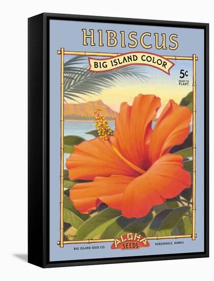 Hibiscus-Kerne Erickson-Framed Stretched Canvas