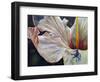 Hibiscus-Jennifer Redstreake Geary-Framed Art Print