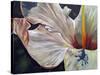 Hibiscus-Jennifer Redstreake Geary-Stretched Canvas