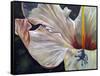 Hibiscus-Jennifer Redstreake Geary-Framed Stretched Canvas