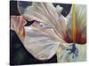 Hibiscus-Jennifer Redstreake Geary-Stretched Canvas