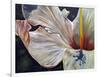 Hibiscus-Jennifer Redstreake Geary-Framed Art Print