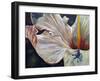 Hibiscus-Jennifer Redstreake Geary-Framed Art Print