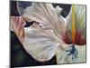 Hibiscus-Jennifer Redstreake Geary-Mounted Art Print