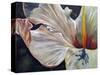 Hibiscus-Jennifer Redstreake Geary-Stretched Canvas