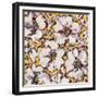 Hibiscus-li bo-Framed Giclee Print