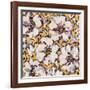 Hibiscus-li bo-Framed Giclee Print