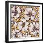 Hibiscus-li bo-Framed Giclee Print