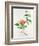 Hibiscus-Georg Dionysius Ehret-Framed Giclee Print