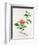 Hibiscus-Georg Dionysius Ehret-Framed Giclee Print