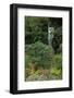 Hibiya Park, Tokyo, Japan, Asia-Richard Cummins-Framed Photographic Print