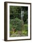 Hibiya Park, Tokyo, Japan, Asia-Richard Cummins-Framed Photographic Print