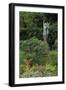 Hibiya Park, Tokyo, Japan, Asia-Richard Cummins-Framed Photographic Print