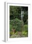 Hibiya Park, Tokyo, Japan, Asia-Richard Cummins-Framed Photographic Print