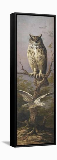 Hibou-Adolphe Yvon-Framed Stretched Canvas