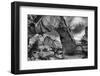 Hickman Bridge, Capital Reef National Park-Steven Schremp-Framed Photographic Print