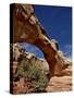 Hickman Bridge, Capitol Reef National Park, Utah, United States of America, North America-James Hager-Stretched Canvas