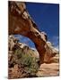 Hickman Bridge, Capitol Reef National Park, Utah, United States of America, North America-James Hager-Mounted Premium Photographic Print