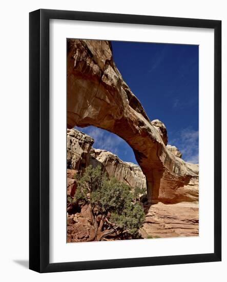 Hickman Bridge, Capitol Reef National Park, Utah, United States of America, North America-James Hager-Framed Photographic Print