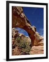 Hickman Bridge, Capitol Reef National Park, Utah, United States of America, North America-James Hager-Framed Photographic Print