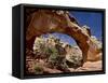 Hickman Bridge, Capitol Reef National Park, Utah, USA-James Hager-Framed Stretched Canvas