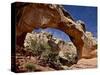 Hickman Bridge, Capitol Reef National Park, Utah, USA-James Hager-Stretched Canvas