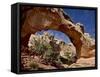 Hickman Bridge, Capitol Reef National Park, Utah, USA-James Hager-Framed Stretched Canvas