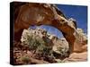 Hickman Bridge, Capitol Reef National Park, Utah, USA-James Hager-Stretched Canvas