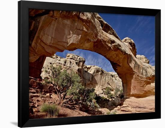 Hickman Bridge, Capitol Reef National Park, Utah, USA-James Hager-Framed Premium Photographic Print