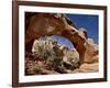 Hickman Bridge, Capitol Reef National Park, Utah, USA-James Hager-Framed Photographic Print