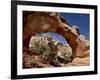 Hickman Bridge, Capitol Reef National Park, Utah, USA-James Hager-Framed Photographic Print